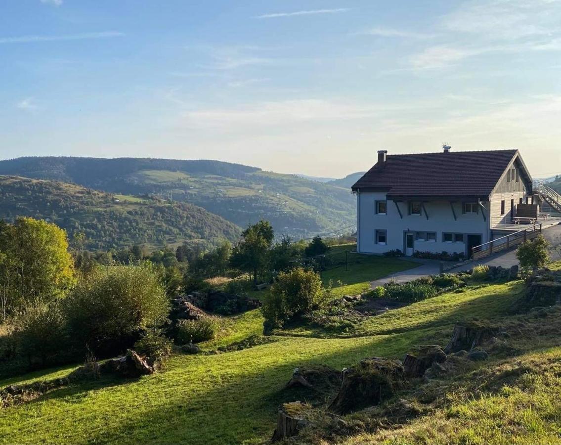 Le Gite De Mon Grand Pere Lejlighed La Bresse Eksteriør billede